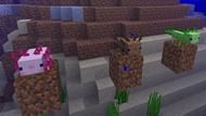 Axolotl in their natural habitat (Image via pcgames)
